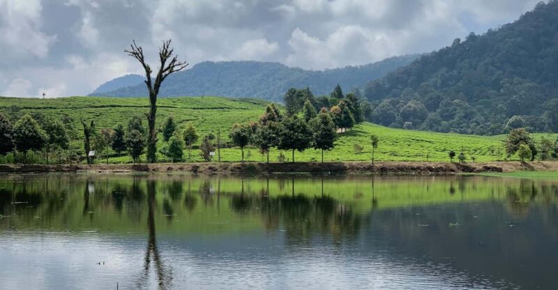 Bogor: Private Car Charter With Professional Driver - Vehicle and Driver Details