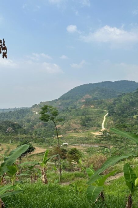 Bogor : Trekking Tour to Green Hills & Fresh Waterfalls - Prohibited Items