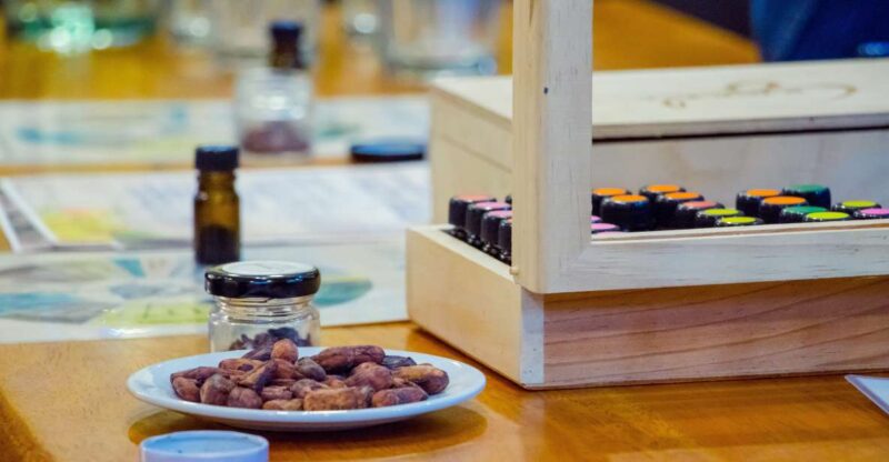 Bogota Chocolate Tasting Tour 3 Hrs - Chocolate Source and Production