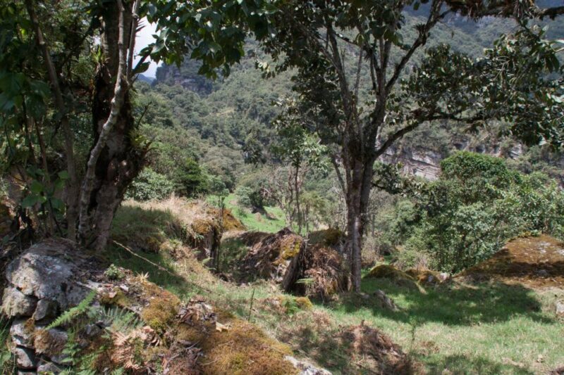Bogota Chorrera Hike - Preparation & Recommendations