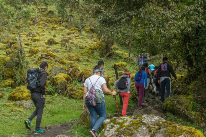 Bogota Chorrera Hike - Pricing and Availability