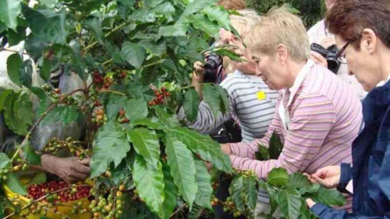 Bogotá: Coffee Farm Excursion - Experience Highlights