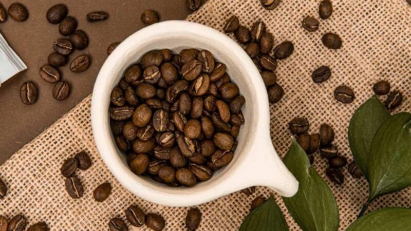 Bogotá: Coffee Farm Excursion - Important Information