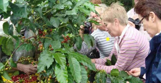 Bogotá: Coffee Farm Excursion - What to Bring