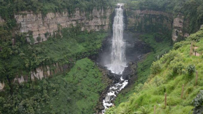 Bogotá: Coffee Farm Excursion - Frequently Asked Questions