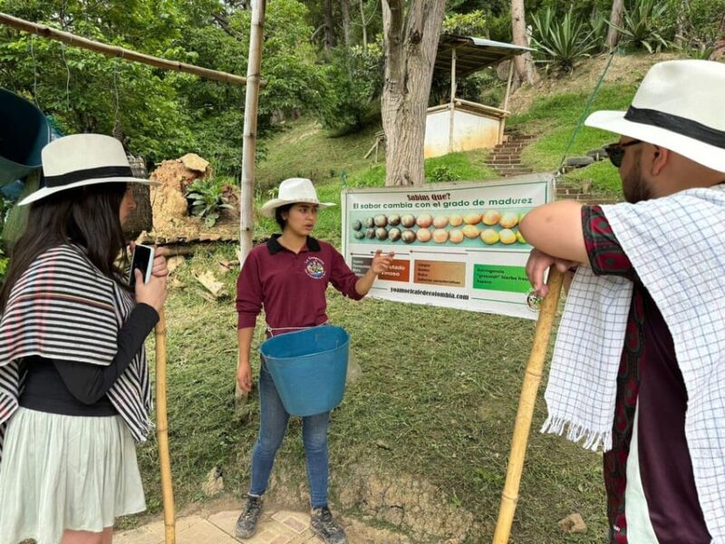 Bogota: Coffee Farmer for a Day With Lunch - Key Points