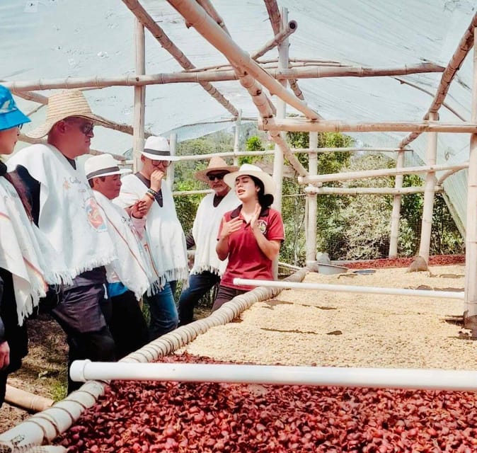 Bogota: Coffee Farmer for a Day With Lunch - Price and Cancellation