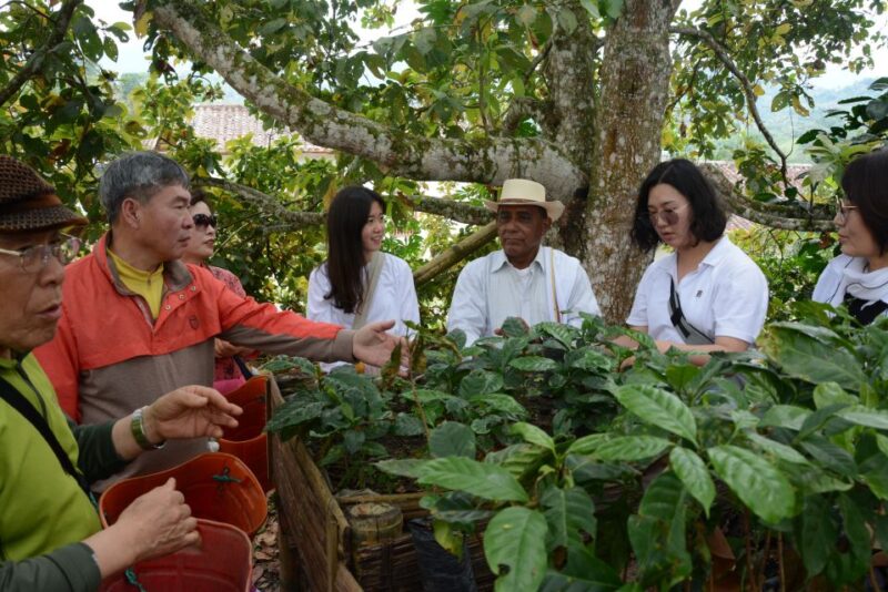 Bogotá: Colombian Coffee Tour With Farm - Itinerary Details