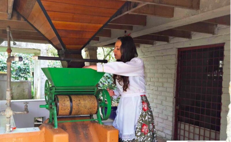 Bogotá: Colombian Coffee Tour With Farm - Key Points
