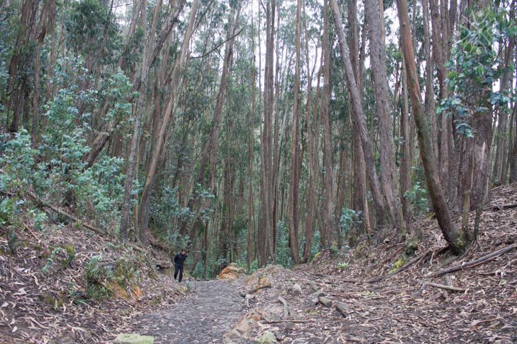 Bogota: East Hills Mountain Hike - Preparation and Gear