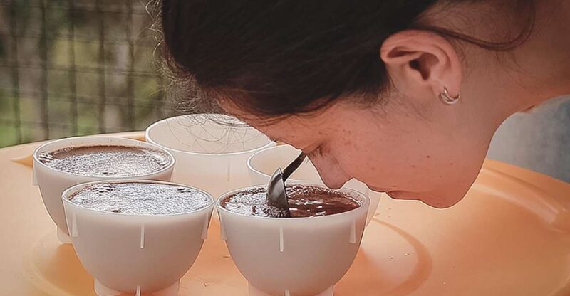 Bogota: Expert Curated Colombian Coffee Cup Tasting Workshop - Inclusions