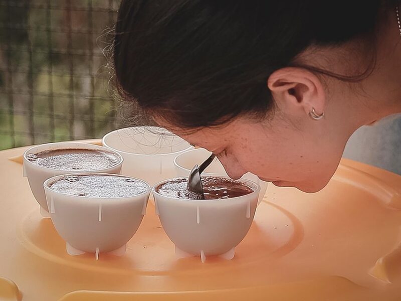 Bogota: Expert Curated Colombian Coffee Cup Tasting Workshop - Booking Information