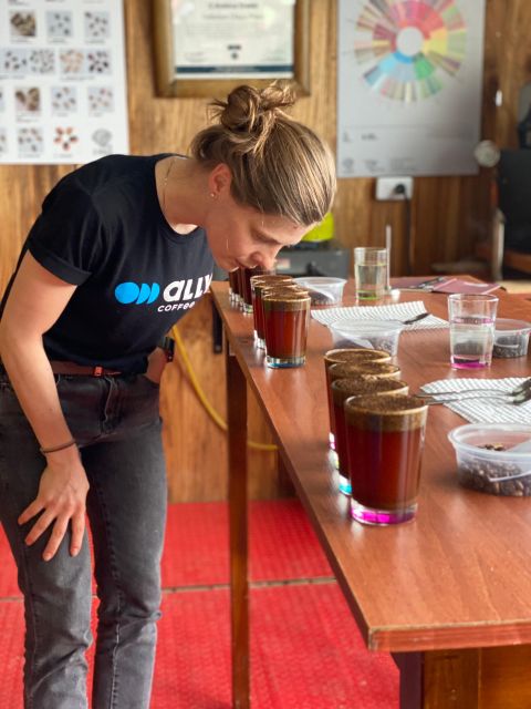 Bogota: Expert Curated Colombian Coffee Cup Tasting Workshop - Recap