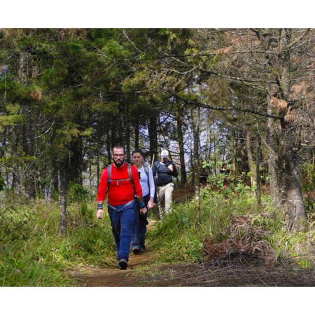 Bogota: Full-Day Extreme Eco-Tour - Transportation and Guide