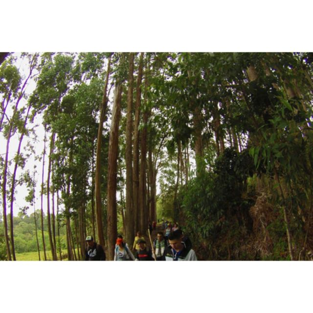 Bogota: Full-Day Extreme Eco-Tour - Transportation and Guide