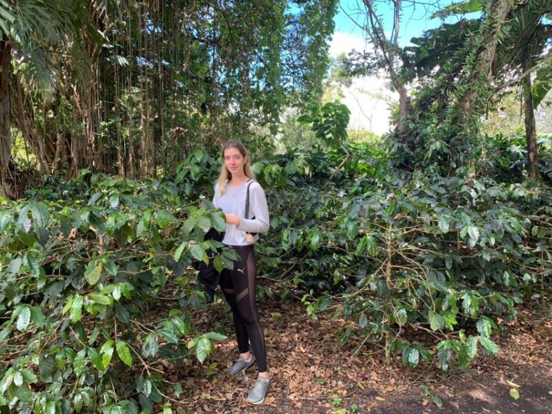 Bogotá: Guided 5-Hour Coffee Farm Tour - Key Points