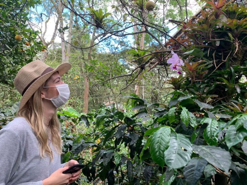 Bogotá: Guided 5-Hour Coffee Farm Tour - Inclusions