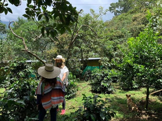 Bogotá: Guided 5-Hour Coffee Farm Tour - Booking and Cancellation