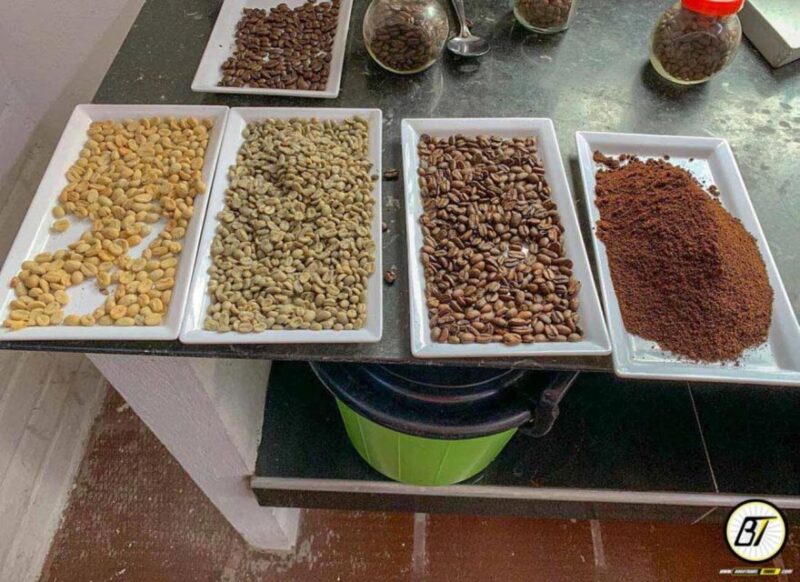 Bogotá: Guided Coffee Tour With Lunch, and Pickup & Drop-Off - Coffee Plantation Details