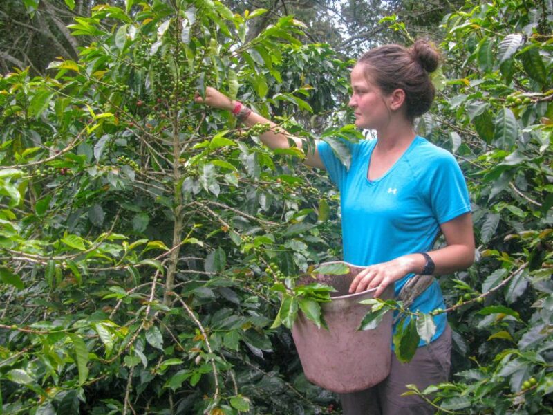 Bogotá: Guided Coffee Tour With Lunch, and Pickup & Drop-Off - Cancellation Policy