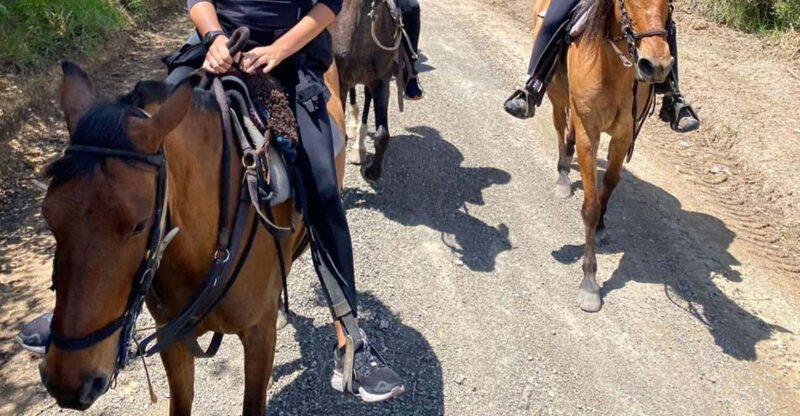 Bogota: Horseback Riding Through the Eastern Hills - Key Points