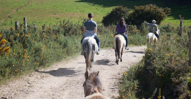 Bogota: Horseback Riding Tour - Key Points