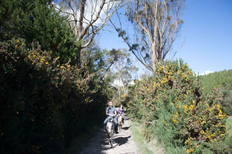 Bogota: Horseback Riding Tour - Activity Highlights