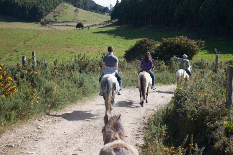 Bogota: Horseback Riding Tour - Transportation and Inclusions
