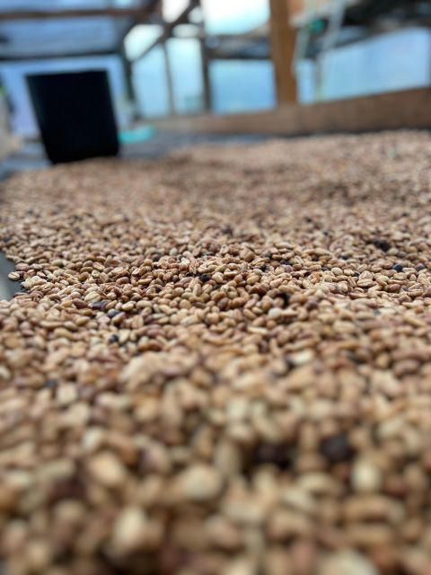 Bogota: Private Coffee Tour in Silvania - Coffee Farm - Experience and Itinerary