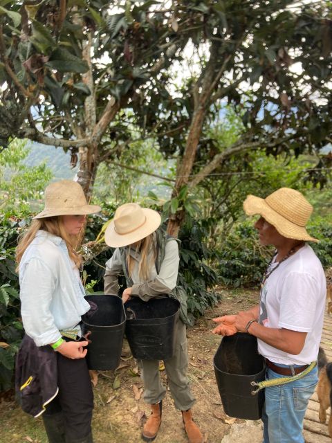 Bogota: Private Coffee Tour in Silvania - Coffee Farm - Tour Highlights