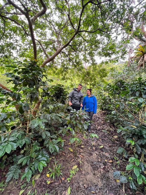 Bogota: Private Coffee Tour in Silvania - Coffee Farm - Coffee Experience Details