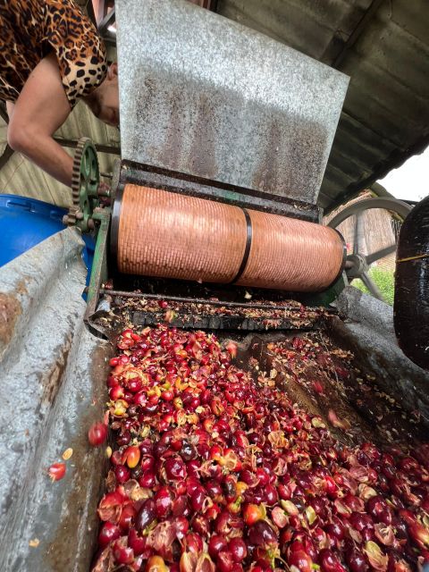 Bogota: Private Coffee Tour in Silvania - Coffee Farm - Important Information
