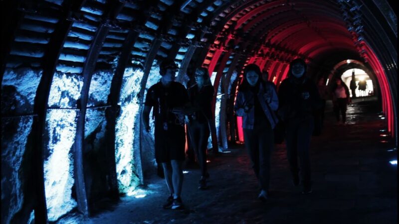 Bogotá: Salt Cathedral Private Tour With Entry Ticket - Tour Pricing and Duration