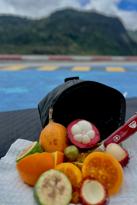 Bogota: Sky-High Picnic Panoramic Tour & Views of the Andes - Key Points