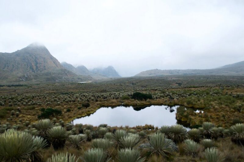Bogotá: Sumapaz National Park Hike Tour With Lunch - Important Information
