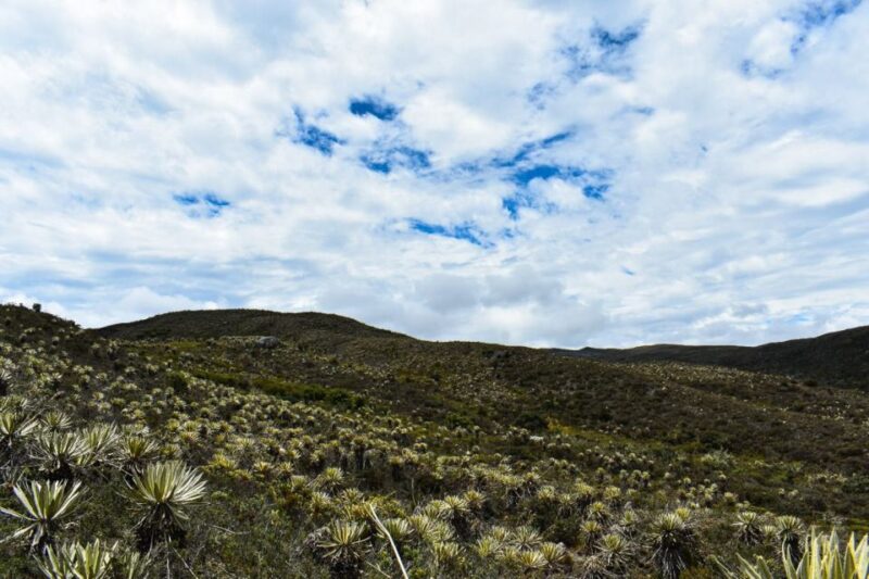Bogotá: Sumapaz National Park Hike Tour With Lunch - Important Information