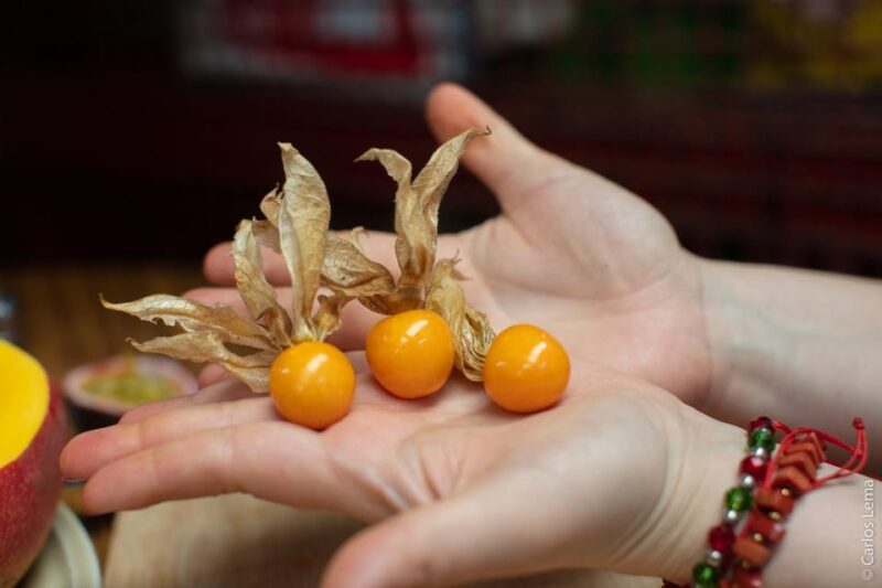 Bogotá: The Fruit Tour at Paloquemao Market - Exploring Paloquemao Market