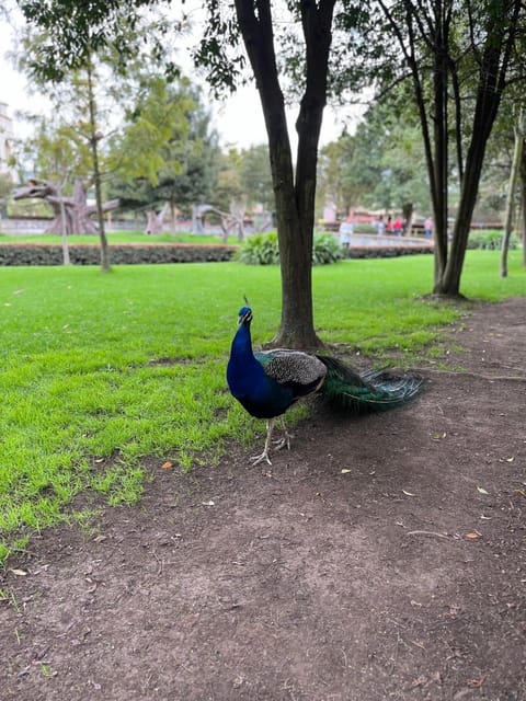BOGOTA: Tour to Jaime Duque Park, Zoo and Aerospace Museum - Pickup Location and Duration