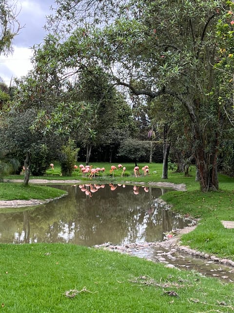 BOGOTA: Tour to Jaime Duque Park, Zoo and Aerospace Museum - Refund and Payment Options