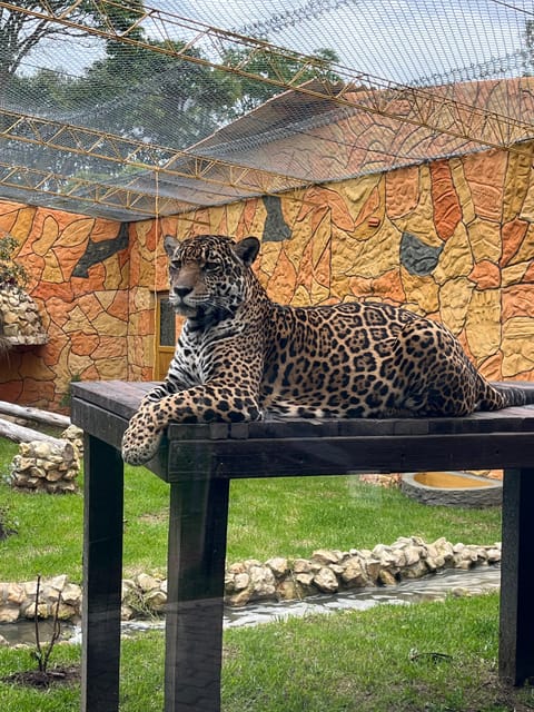 BOGOTA: Tour to Jaime Duque Park, Zoo and Aerospace Museum - Frequently Asked Questions