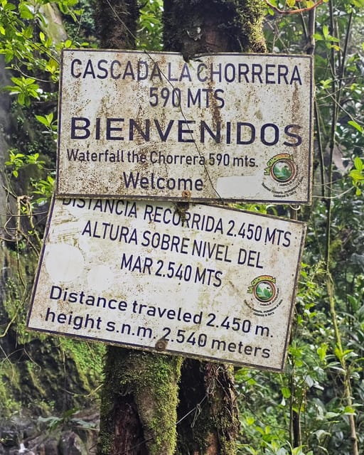 Bogotá: Visit Colombia's Highest Waterfalls & Guadalupe Hill - Inclusions and Recommendations