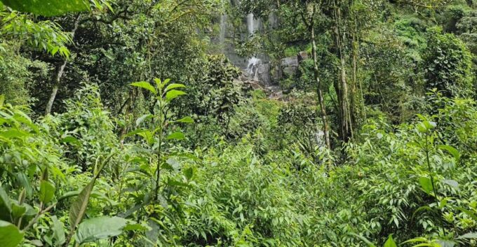 Bogotá: Visit Colombia's Highest Waterfalls & Guadalupe Hill - Frequently Asked Questions
