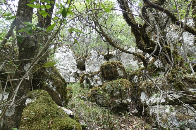 BOGOVA WATERFALL & WINERY TOUR From Berat by 1001 AA - Pricing and Cancellation Policy