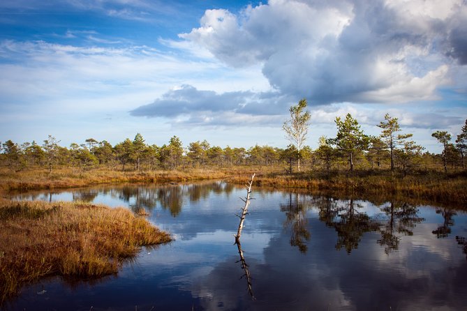 Bogs and Resorts in Jūrmala - Key Points