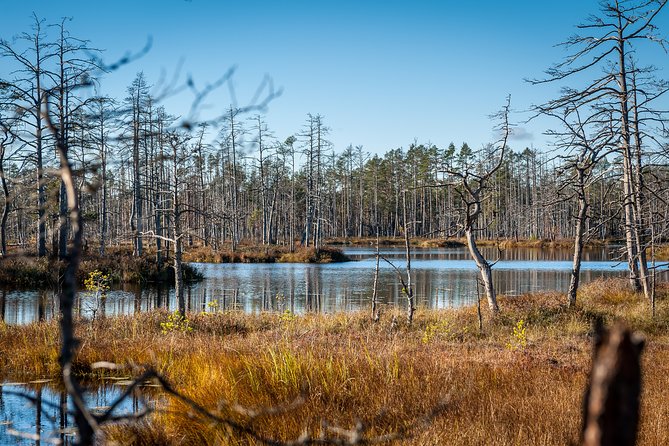 Bogs and Resorts in Jūrmala - Meeting and Pickup Details
