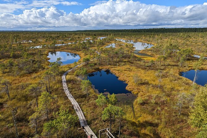 Bogs and Resorts in Jūrmala - Enjoying Dzintari Forest Park