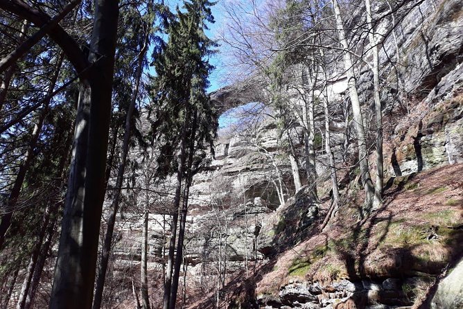 Bohemian and Saxon Switzerland National Park Day Trip From Dresden - Requirements and Cancellation