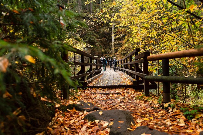 Bohemian and Saxon Switzerland National Park Day Trip From Prague - Best Reviews - Cancellation Policy