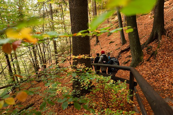 Bohemian and Saxon Switzerland National Park Day Trip From Prague - Best Reviews - Review and Ratings