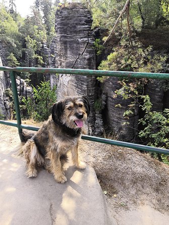 Bohemian Paradise (Czech Paradise) UNESCO Geopark Nature Walks - Visiting Kost Castle